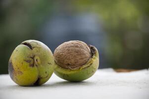 Closeup of fresh walnut and seeds on a textured surface in natural light for autumn harvest concept photo