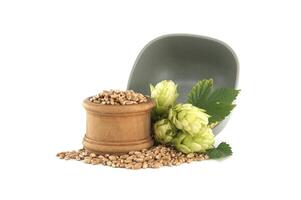 Fresh green hops and grains are presented in rustic arrangement set against white background photo