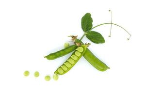 Pea pods surrounded by a green leaf with a pointed tip photo