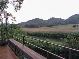Serene Cornfield Sunset with Mountain View photo