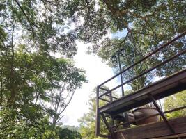 Serene View from a Canopy Retreat photo