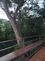 Serene View from Wooden Deck with Lush Greenery photo