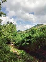 Peaceful Stream Winding Through Lush Green Fields photo