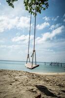 A swing hanging from a tree on a beach photo