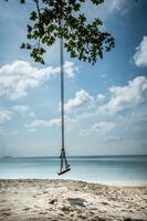 A swing hanging from a tree on a beach photo