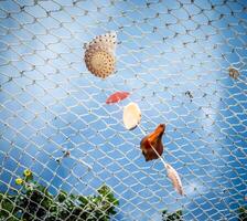 A net with shells and other items on it photo