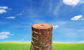 Logs and grass The background is the sky. photo