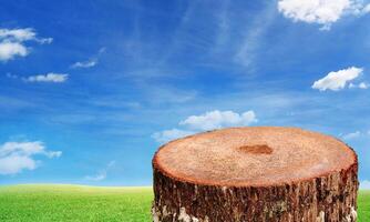 Logs and grass The background is the sky. photo