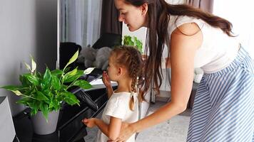 Young mother and her little daughter caring decorative plants with water and rag in the home. High quality 4k footage video