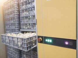 Hatching eggs in modern incubator hatchering machine, A newborn chicken is knocked out of an eggs ,brood of small chicks. High Technology of newborn chicken production. photo