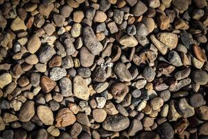 the texture of small stone pebbles photo