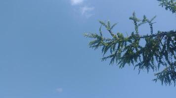 Sky with cloude and sun, summer day background photo