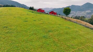 Hillside Landscape with two Red Chalet and Wooden Fence. A sprawling green hillside with two red barns and a lone tree, bordered by a rustic wooden fence. video