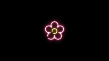 Neon sign in flower shape motion graphic with alpha channel. Pink and yellow flower neon light turn on and turn off isolated icon animated on transparent background. video