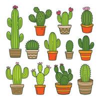 Cactus plant objects hand drawn doodle object illustration vector