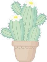 Green Cactus With White Flower. Decorative House Plant Illustration vector