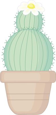 Green Cactus With White Flower in Pot Illustration