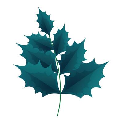 Branch of mistletoe illustration on white