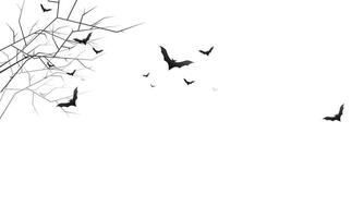 Halloween border isolated on white background vector