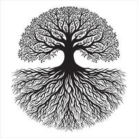 Celtic Tree of Life Illustration with Roots vector