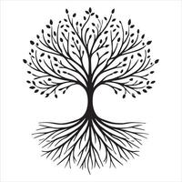 Roots and Branches Celtic Tree of Life Design vector