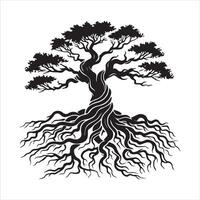 Celtic Life Tree with Spirals and Symbols vector