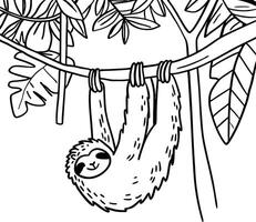 Sloth coloring pages vector