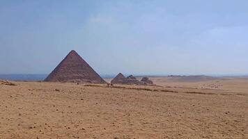 egípcio pirâmides dentro giza Egito, panorâmico visualizar. famoso menkaure, khafre, khufu pirâmides complexo video