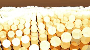 A large group of yellow circles in a field video