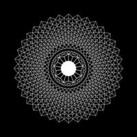 A circular design with a star in the center vector