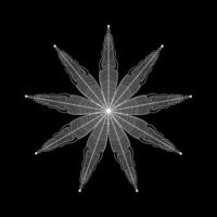 A star with a white background on a black background vector