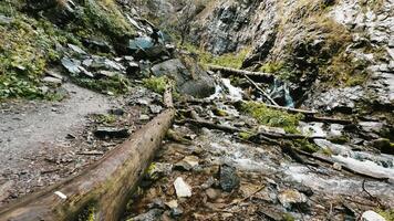Hiker walking toward camera on log over mountain stream video
