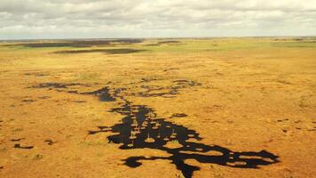 An aerial view of an autumn bog in Yelnya, Belarus, autumn. Ecosystems ecological problems climate change video