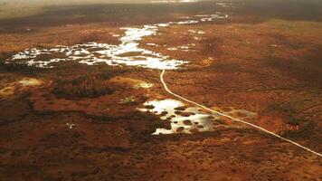 An aerial view of an autumn bog in Yelnya, Belarus, autumn. Ecosystems ecological problems climate change video