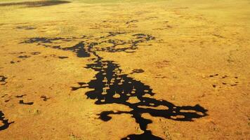 An aerial view of an autumn bog in Yelnya, Belarus, autumn. Ecosystems ecological problems climate change video