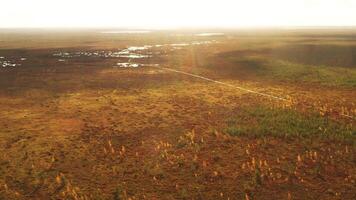 An aerial view of an autumn bog in Yelnya, Belarus, autumn. Ecosystems ecological problems climate change video
