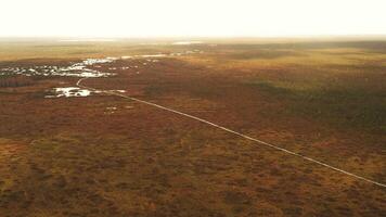 An aerial view of an autumn bog in Yelnya, Belarus, autumn. Ecosystems ecological problems climate change video