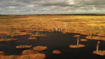 An aerial view of an autumn bog in Yelnya, Belarus, autumn. Ecosystems ecological problems climate change video