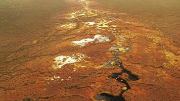An aerial view of an autumn bog in Yelnya, Belarus, autumn. Ecosystems ecological problems climate change video