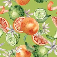 Mixed citrus fruits with white flowers watercolor seamless pattern isolated on green. Hand drawn grapefruit, bergamot with bright orange green peel in botanical sketch style for package, print. vector