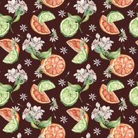 Half grapefruit and bergamot watercolor seamless pattern isolated. Citrus slices and jasmine plant. Hand drawn assorted fruits and flower in botanical sketch for summer floral print, package, textile. vector