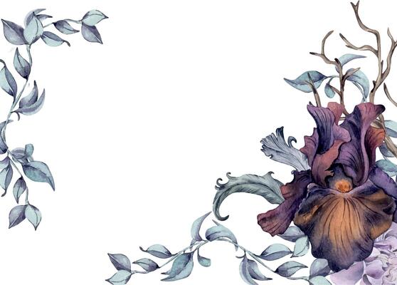 Gothic floral border hand drawn. Black iris flowers and branch watercolor illustration isolated on white. Botanical decoration with snag and feathers for dark party. Element for invitation, printing