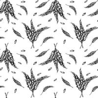 Bunch of wheat ears on stem black white graphic seamless pattern isolated. Repeated botanical texture of spikelet rye, barley monochrome hand drawn by ink for design bakery, natural product. vector