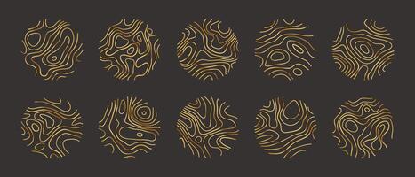 Circular wood rings or topographic map lines texture set. vector