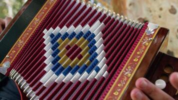 Luxury Accordition Decorations In The Hands Of A Player video