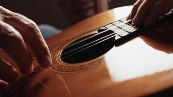Fingers Touching Strings To Create Melody video