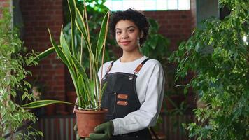 Running of own business. African woman florist holding plant in pot wearing apron in botanical store. Happy small business owner working at flower shop smiling surrounded by plants. Small business video