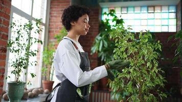 Running of own business. African woman florist wearing apron taking care of plants in botanical store. Happy small business owner working at flower shop smiling surrounded by plants Small business video