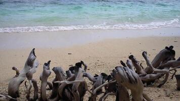 Lapping turquoise waves create a serene scene on the beautiful beaches of Kenawa Island. video