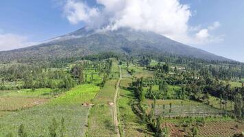 Scenic aerial view of harvested tobacco lands set among the lush mountains of Temanggung Central Java video